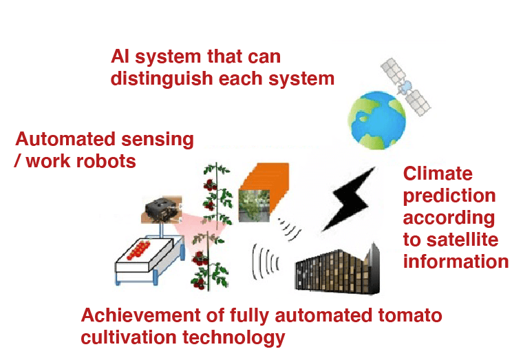 Production of high value-added crops through labour-saving production technology｜研究開発課題｜産学共創プラットフォーム共同研究推進プログラム OPERA「食と先端技術共創コンソーシアム」
